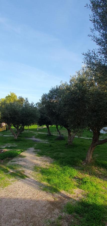 Lávrion Sea & Mountain Apartment Close To Port And City מראה חיצוני תמונה
